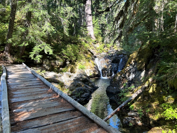 Chinook Creek