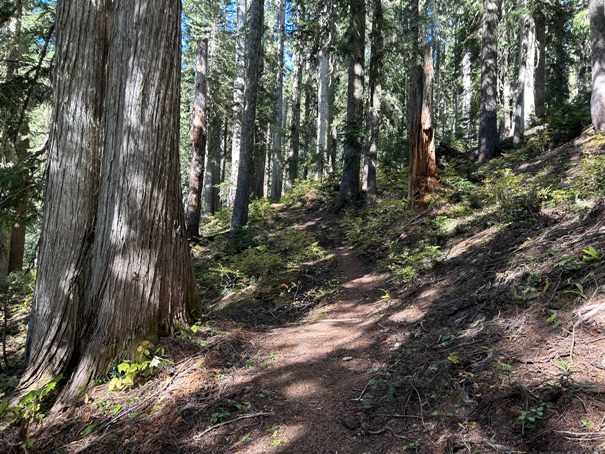 Owyhigh Lakes Trail