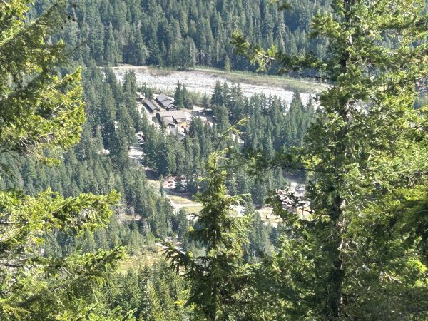 Longmire Viewpoint