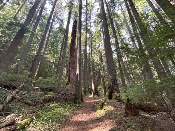 rampart ridge