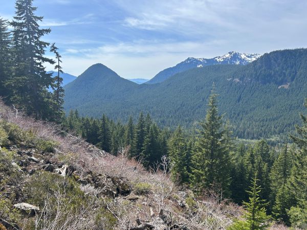Tumtum Mountain 