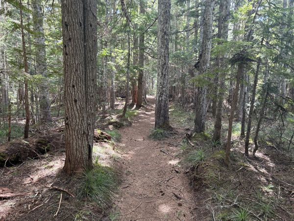 rampart ridge