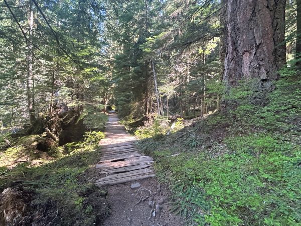 rampart ridge