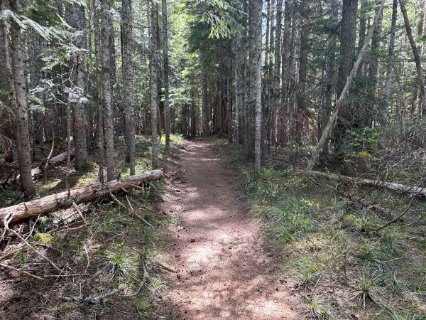 rampart ridge