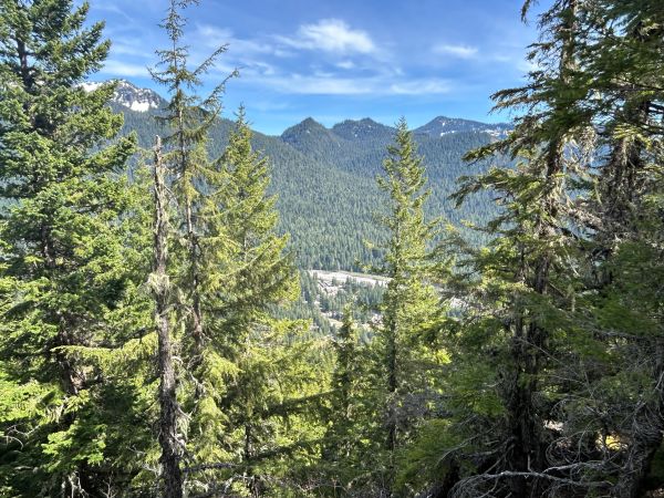 Longmire Viewpoint