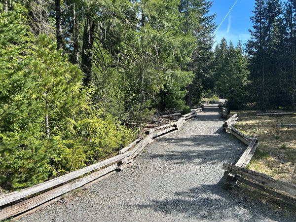trail of the shadows