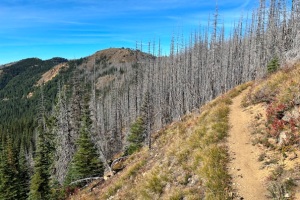 Corral Pass 