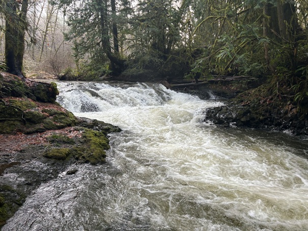 Kennedy Creek Falls 