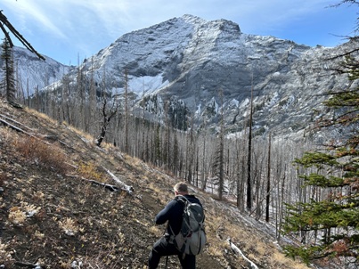 Thorp Creek Trail 