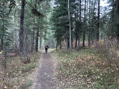 Hurricane Creek Trail