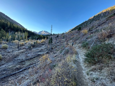 Thorp Creek Trail 