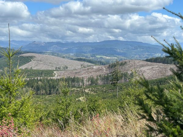 hiking in washington