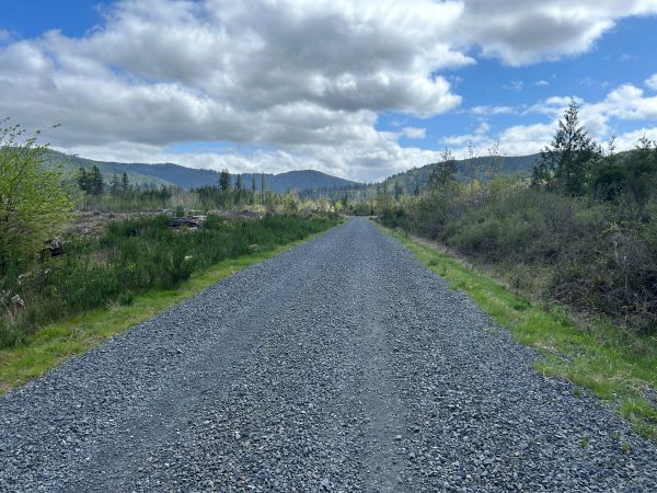 Weyerhauser road