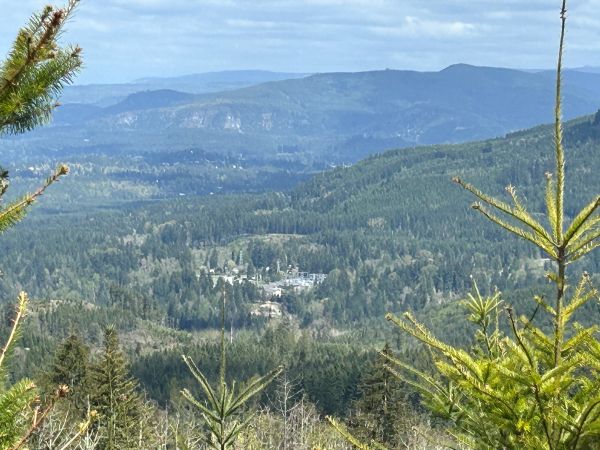 washington