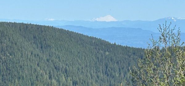mount baker