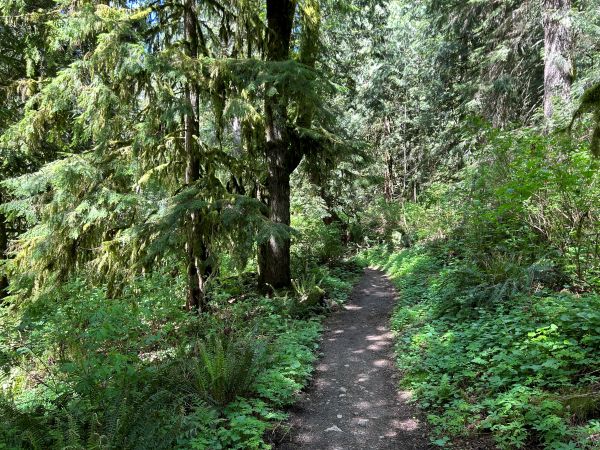 king county