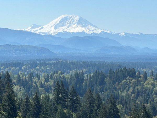 Mt. Rainier