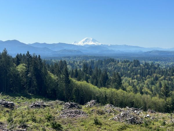 Mt. Rainier