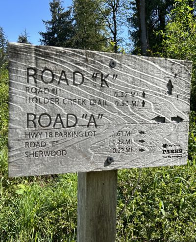 taylor mountain forest