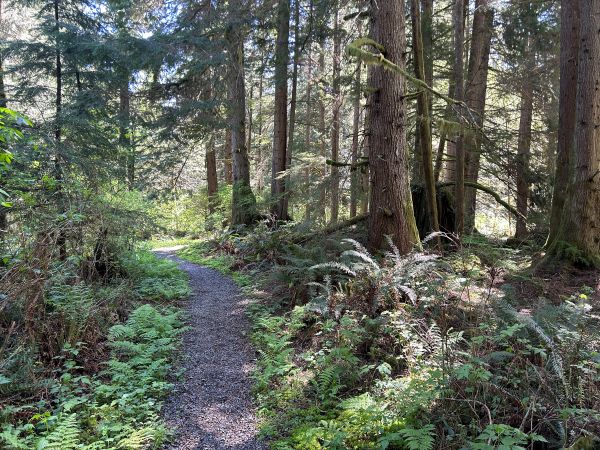 king county hiking