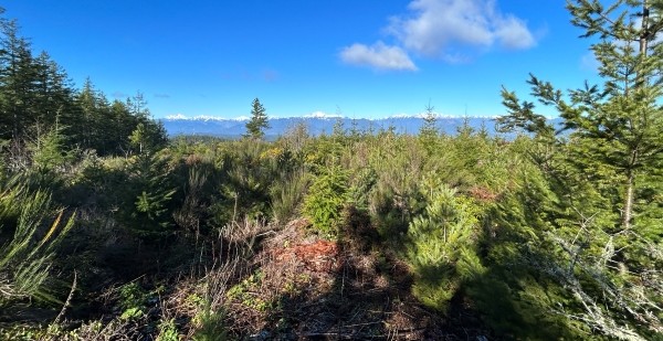 summit