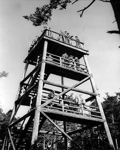 clingman dome tower