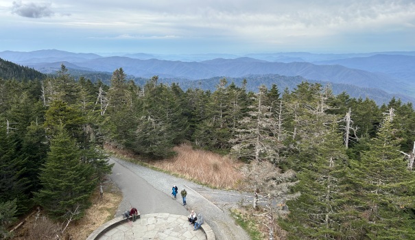 clingmans dome view