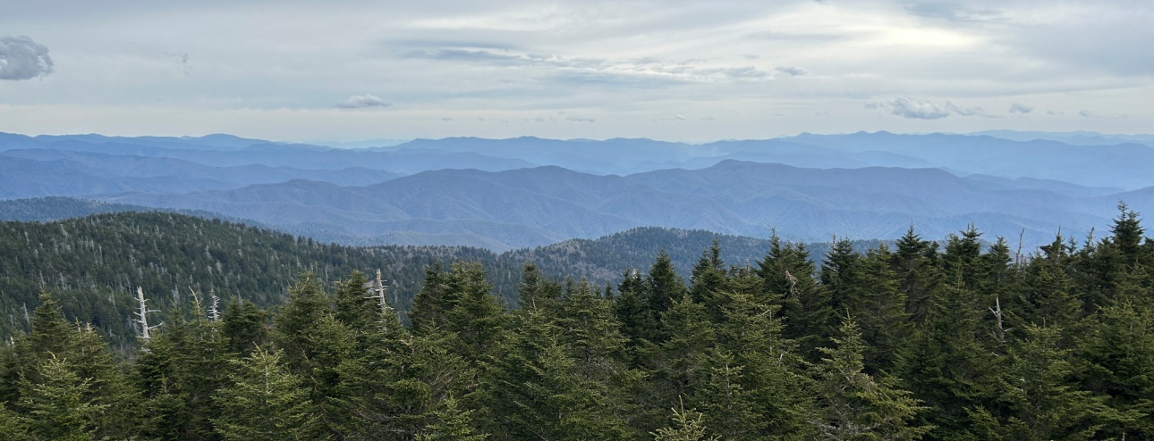 clingmans dome view