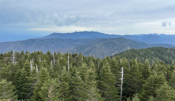 clingmans dome view