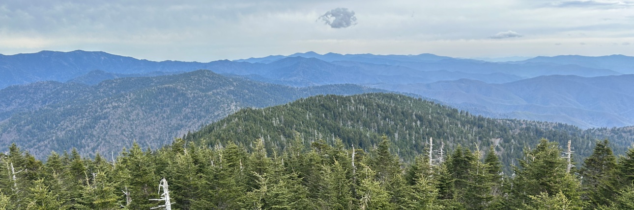 clingmans dome view