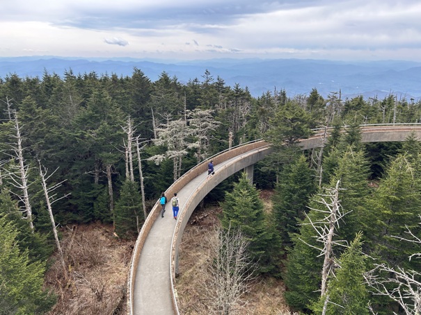 clingmans dome 