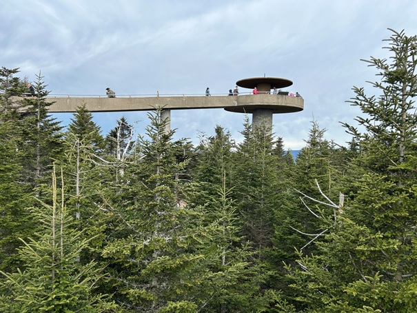 clingmans dome view