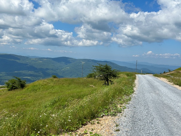 Whitetop Mountain