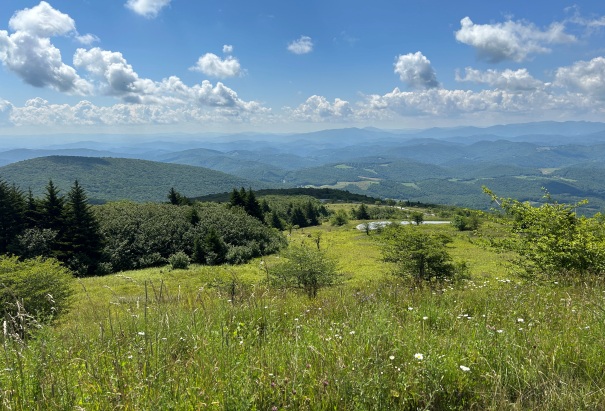 Whitetop Mountain