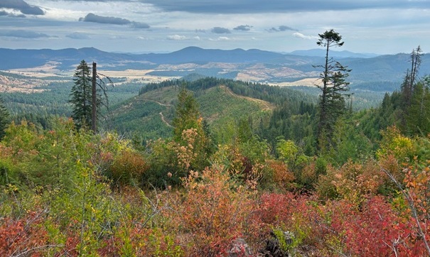 McCroskey State Park 