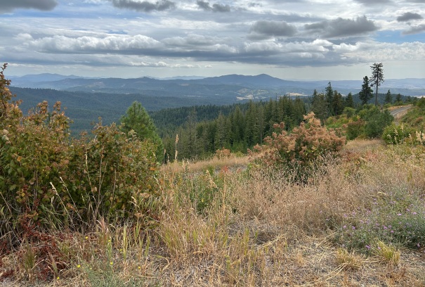 McCroskey State Park 