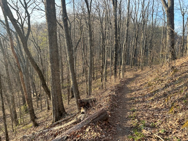 Smoky Mountains