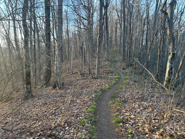 Smoky Mountains