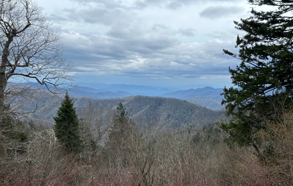 Newfound Gap 