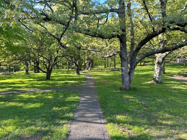 Big Meadows 