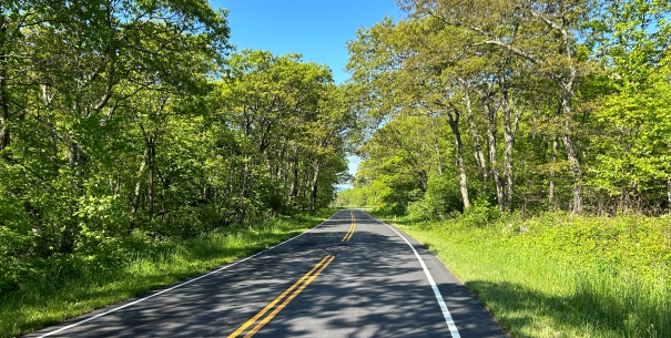 Shenandoah National Park