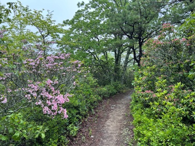 hiking shenandoah