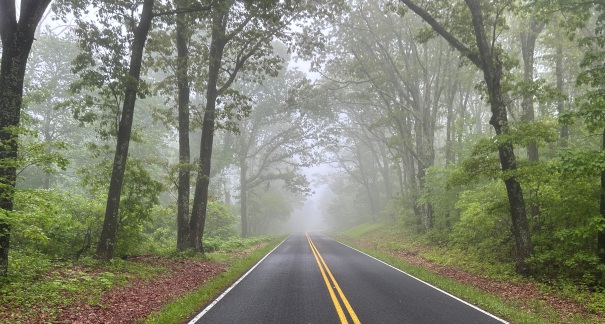 Shenandoah National Park