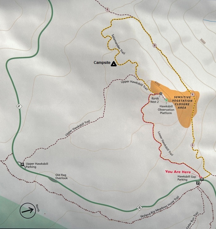 Hawksbill  map