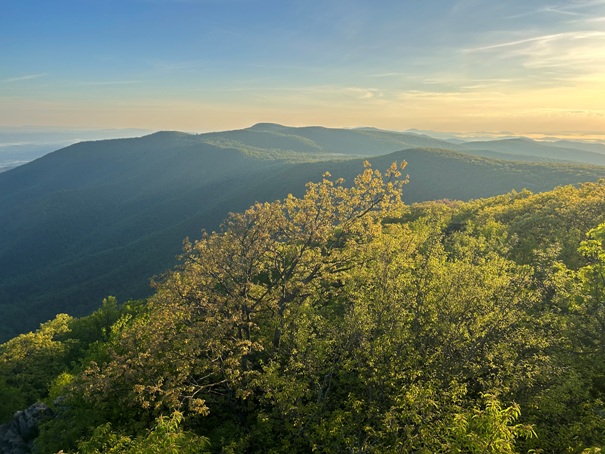 Hawksbill sunrise