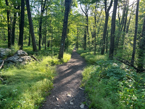 Hawksbill Trail