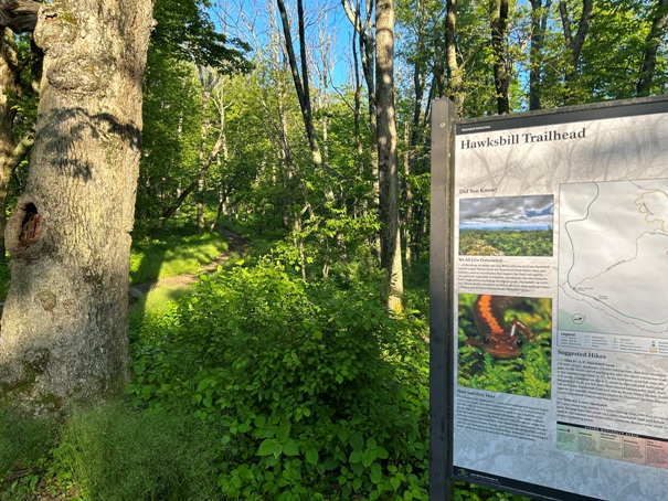 Hawksbill Trailhead