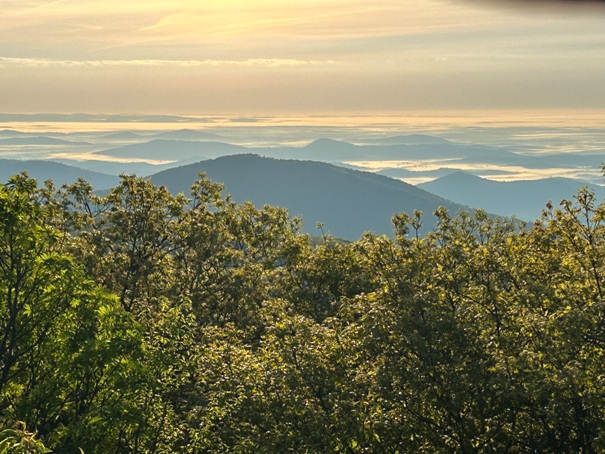 Hawksbill sunrise