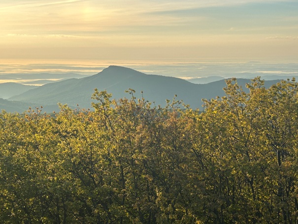 Hawksbill sunrise