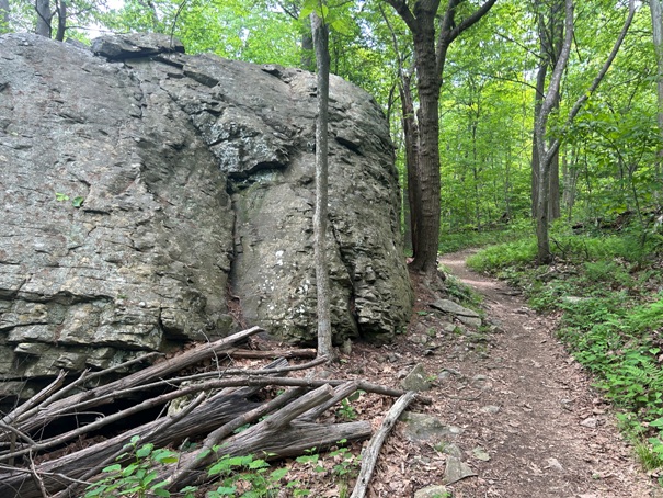 Shenandoah National Park